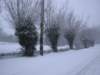 snowingbourton18dec10008_small.jpg